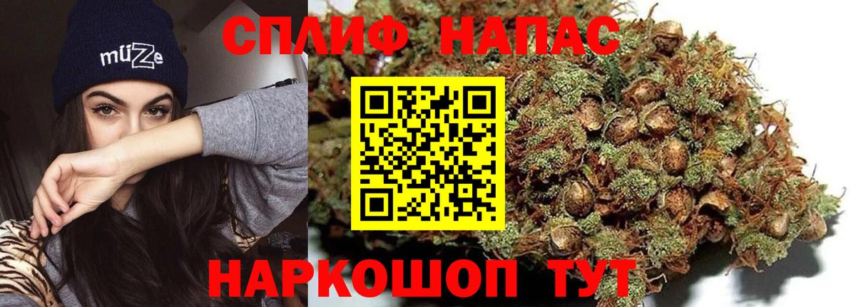 Канабис Ganja Гай